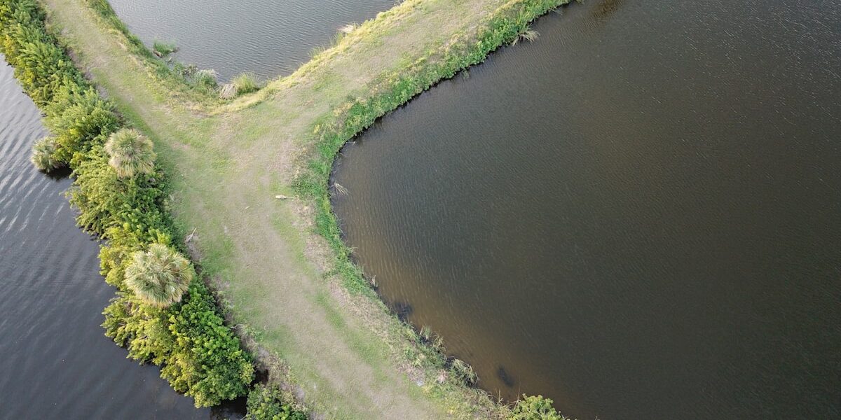 Counting Wildlife From the Sky: Drones in Conservation Research